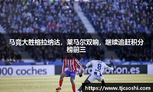 球信网下载