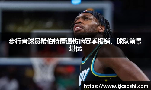 球信网下载
