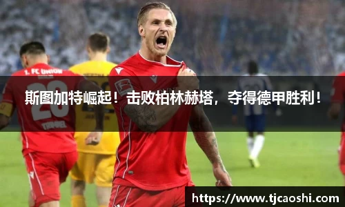 球信网
