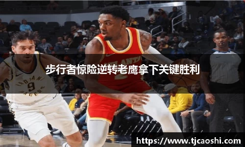 球信网下载