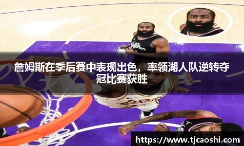 球信网平台