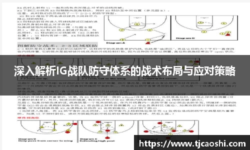 球信网平台