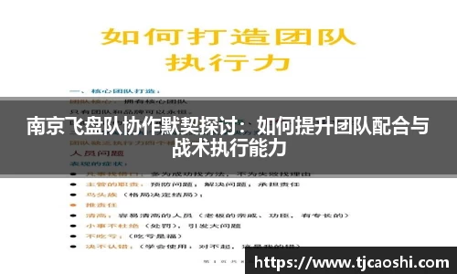 南京飞盘队协作默契探讨：如何提升团队配合与战术执行能力