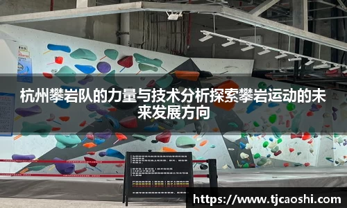 杭州攀岩队的力量与技术分析探索攀岩运动的未来发展方向