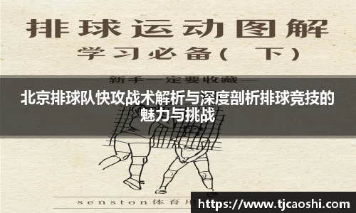 球信网平台