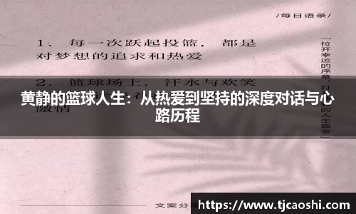 球信网