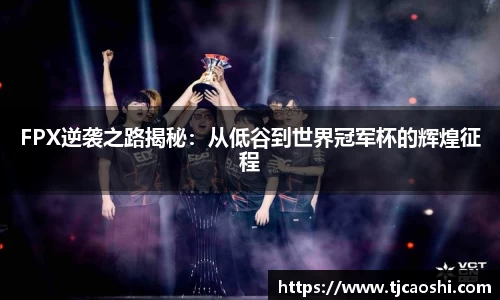 球信网下载