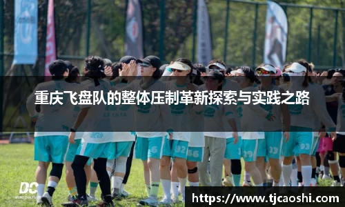 球信网下载