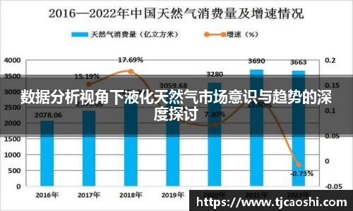 数据分析视角下液化天然气市场意识与趋势的深度探讨