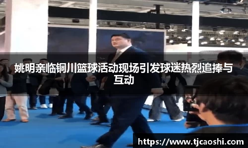 球信网