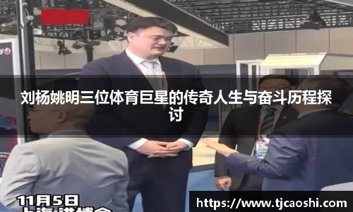 刘杨姚明三位体育巨星的传奇人生与奋斗历程探讨