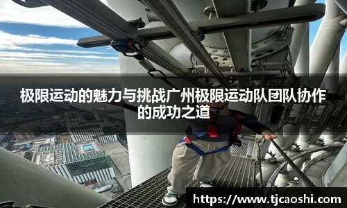 球信网下载