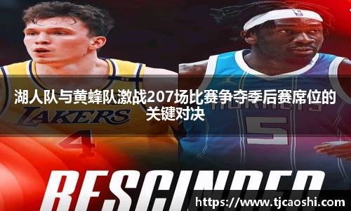 球信网下载