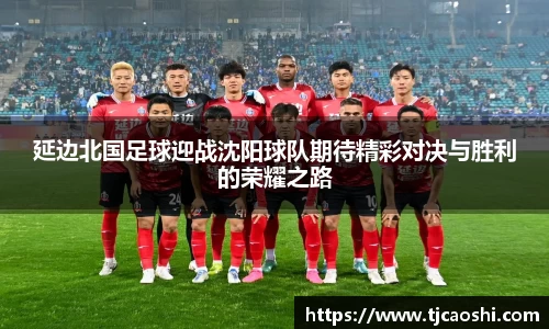 球信网平台