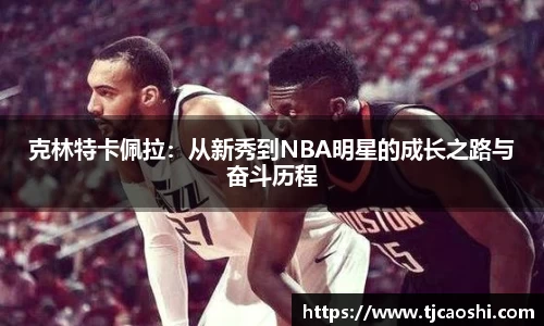 球信网下载