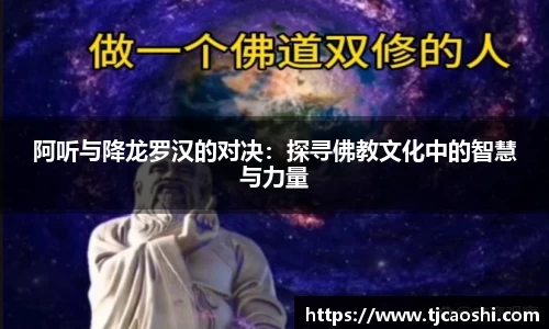 球信网